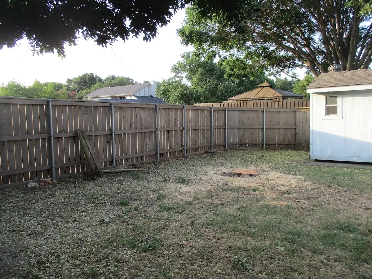 Cleared yard after professional tree removal in San Bernardino