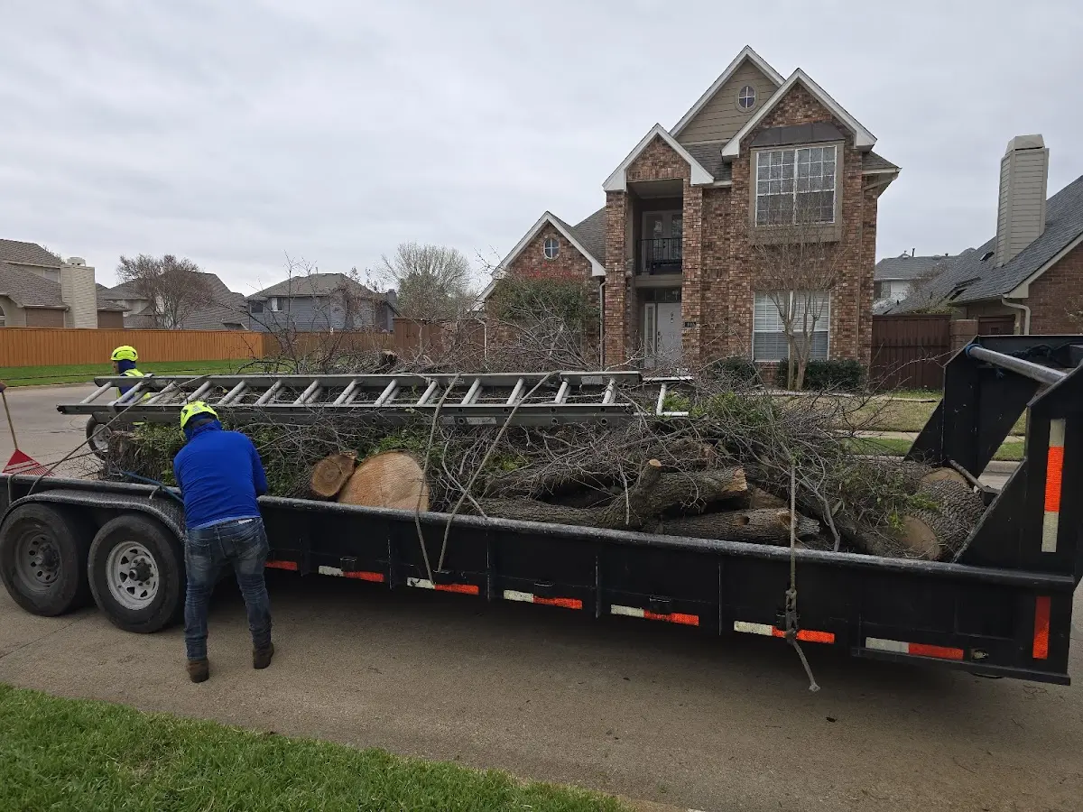 Expert Tree Fertilization with proper safety equipment in San Bernardino